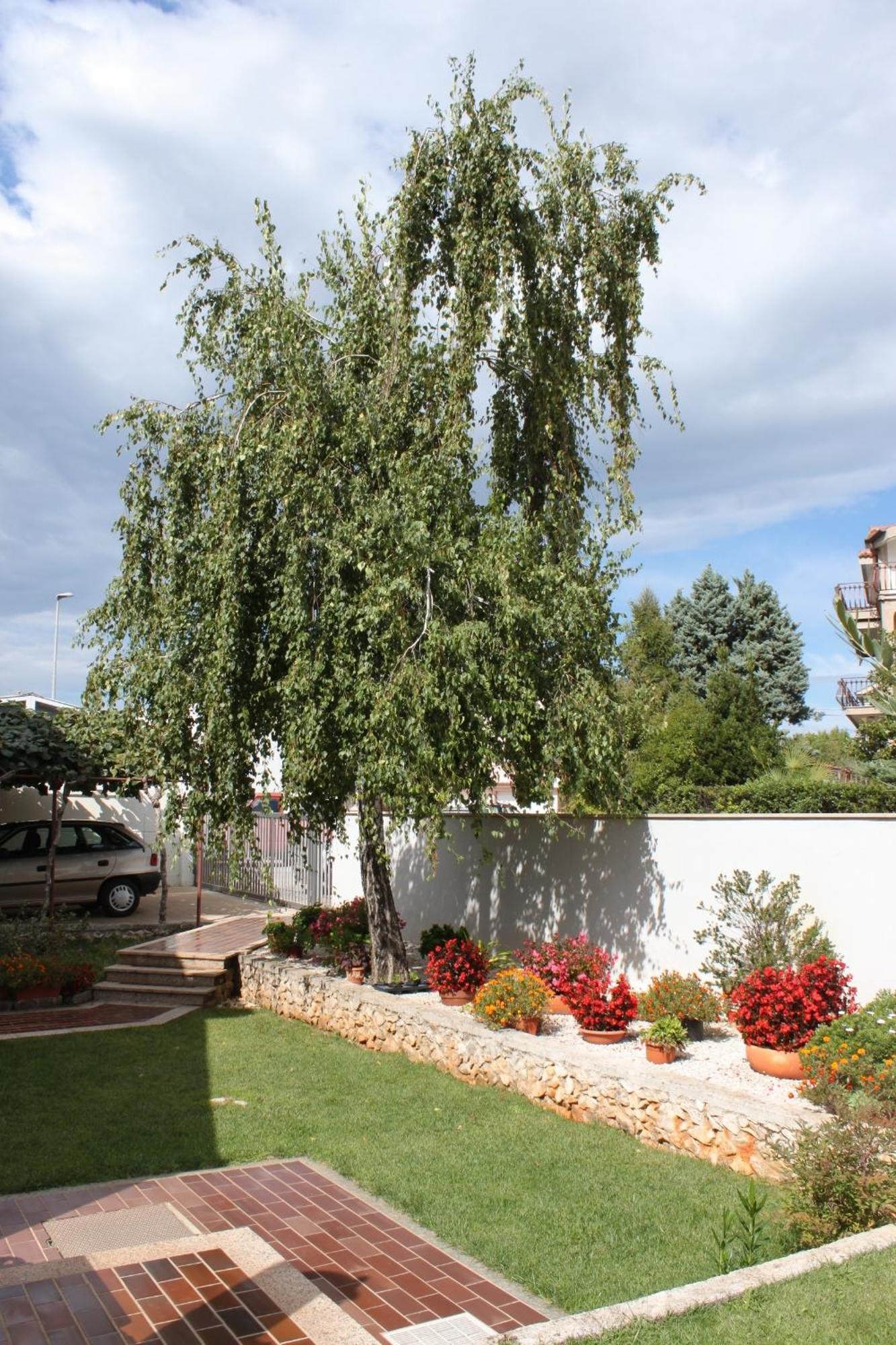 Apartmán With A Parking Space - 7060 Umag